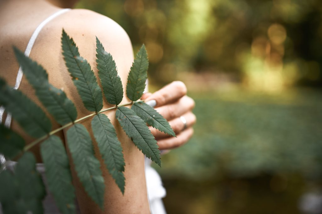 cropped image unknown mysterious young woman posing park holding green leaf while relaxing outdoors sunny day close up fern plant female hand (1)